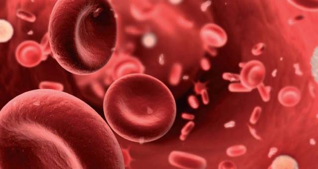 الانيميا ( فقر الدم ) – اهم الاسباب وكيفية الوقاية منها