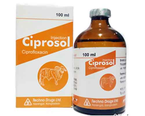 سيبروسول – Ciprosol | مضاد حيوي واسع المجال لعلاج العدوى البكتيرية