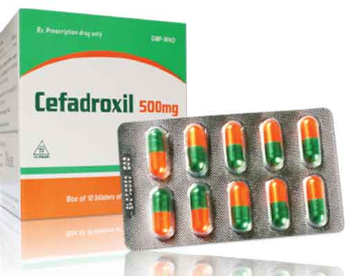 سيفادروكسيل – Cefadroxil | مضاد حيوي واسع المجال لعلاج العدوى البكتيرية