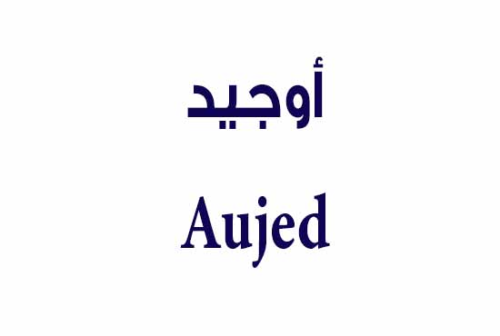 أوجيد – Aujed | مضاد حيوي واسع المجال لعلاج العدوى البكتيرية